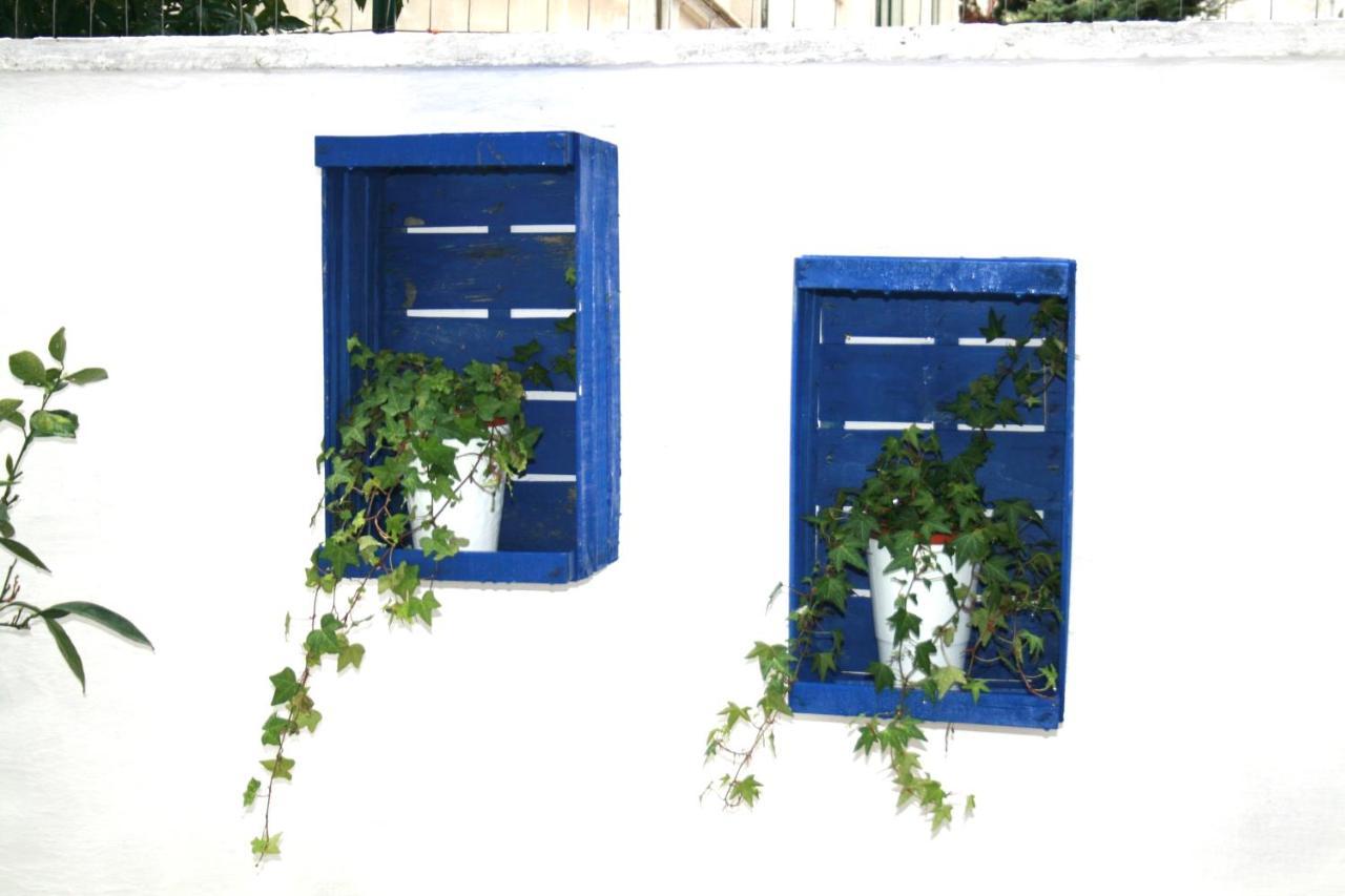 Willkommen In Einem Private Garden Bari Ngoại thất bức ảnh