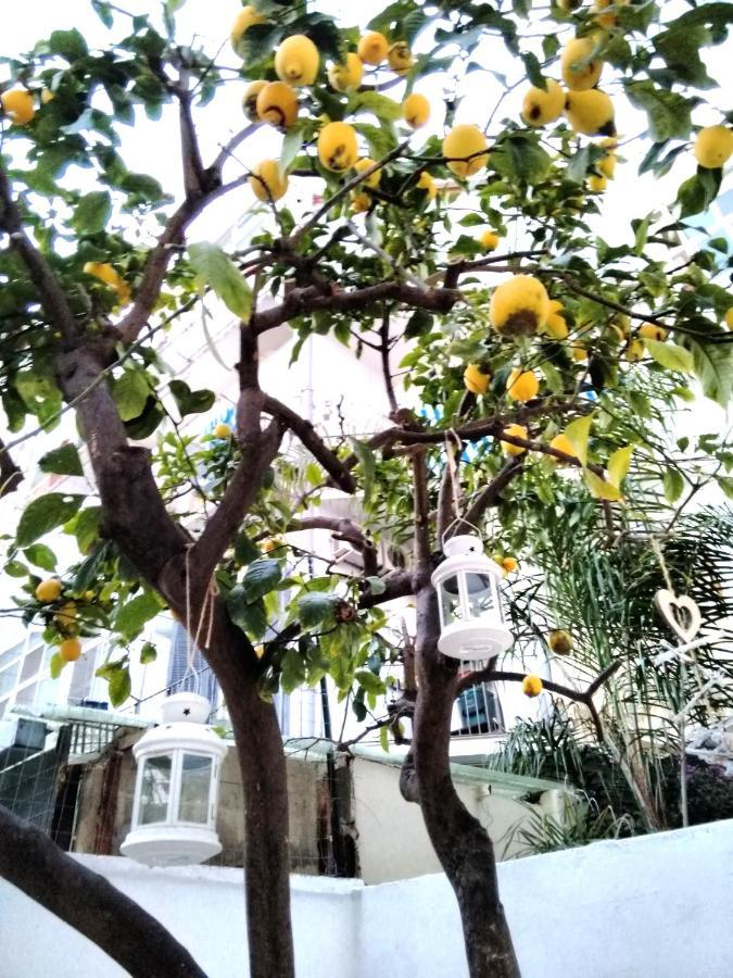 Willkommen In Einem Private Garden Bari Ngoại thất bức ảnh