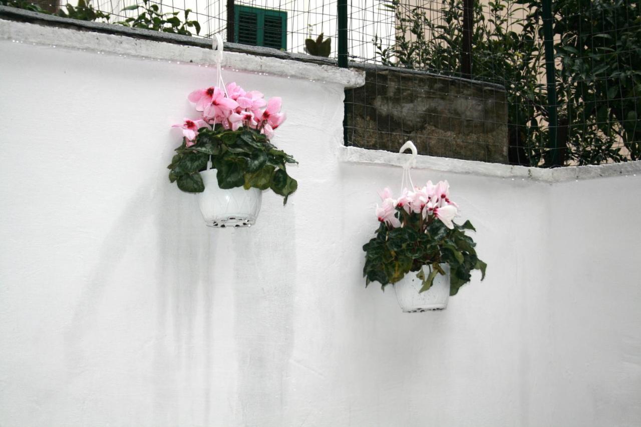 Willkommen In Einem Private Garden Bari Ngoại thất bức ảnh