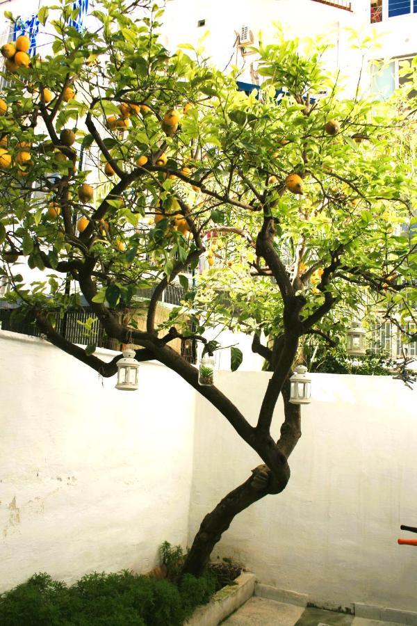 Willkommen In Einem Private Garden Bari Ngoại thất bức ảnh